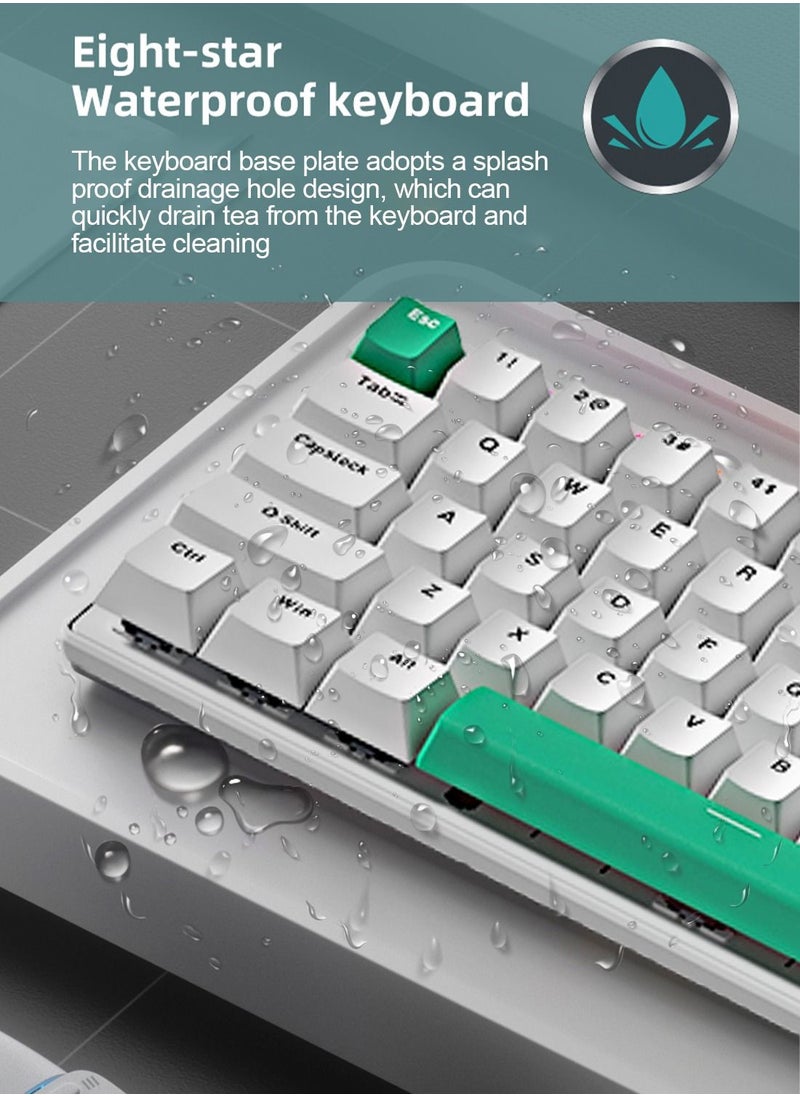 Flash Hawk 65% Wired Blue Switch Gaming Keyboard with RGB Backlit, 68 Keys Hot-Swappable Compact Mechanical Keyboard for PC White/Green  - Image 4