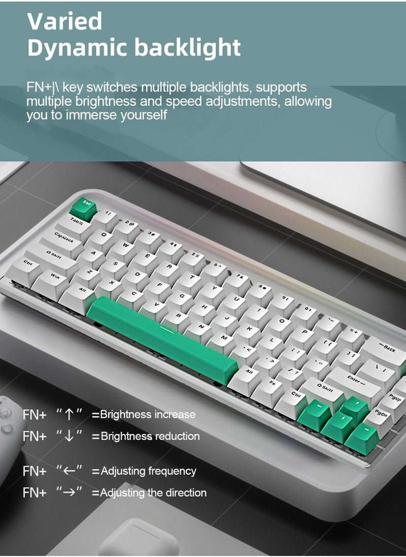 Flash Hawk 65% Wired Blue Switch Gaming Keyboard with RGB Backlit, 68 Keys Hot-Swappable Compact Mechanical Keyboard for PC White/Green  - Image 2