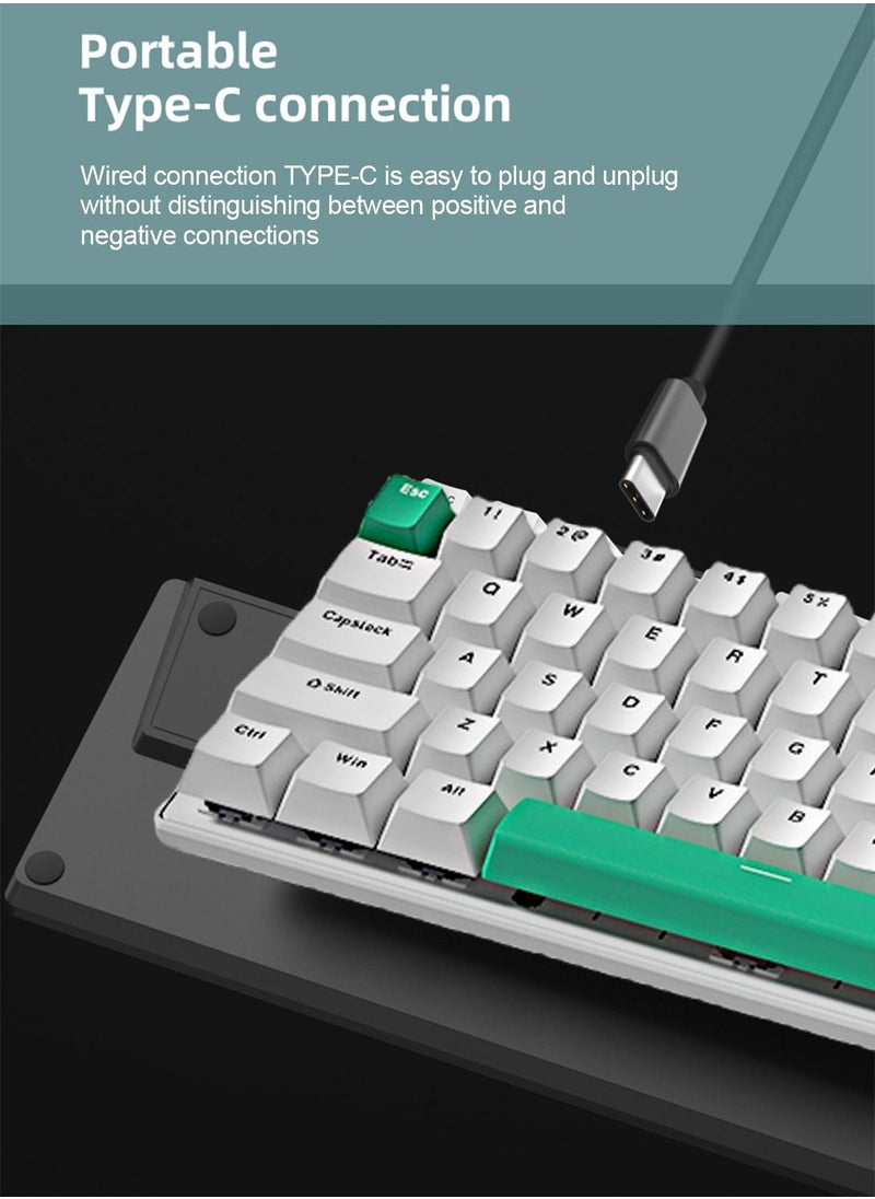Flash Hawk 65% Wired Blue Switch Gaming Keyboard with RGB Backlit, 68 Keys Hot-Swappable Compact Mechanical Keyboard for PC White/Green  - Image 5