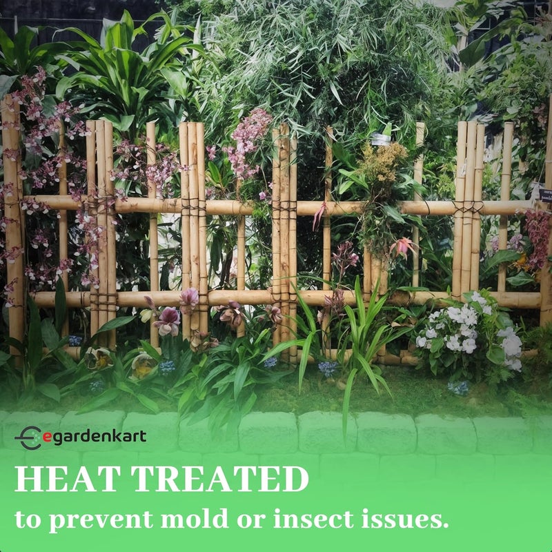 Egardenkart إي غاردن كارت، عصي الخيزران للنباتات - 90 سم، 8 قطع | دعامات النباتات | 24-16 مم، عمود دعم النباتات | عصا نباتات متينة للزهور والخضروات والنباتات المتسلقة | عصي الحديقة (8 قطع، 90 سم) - Image 5