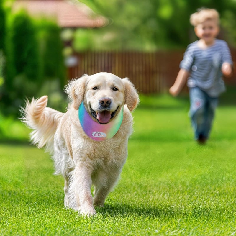 أوول فور بوز مجموعة "ALL FOR PAWS" المكونة من وشاحين تبريد للكلاب، طوق تبريد ولفافة رقبة للكلاب، أوشحة تبريد جليدية للكلاب الصغيرة، طوق تبريد "بلو تشيل أوت" (مقاس S، محيط الرقبة 11.8-14.4 بوصة) - Image 3