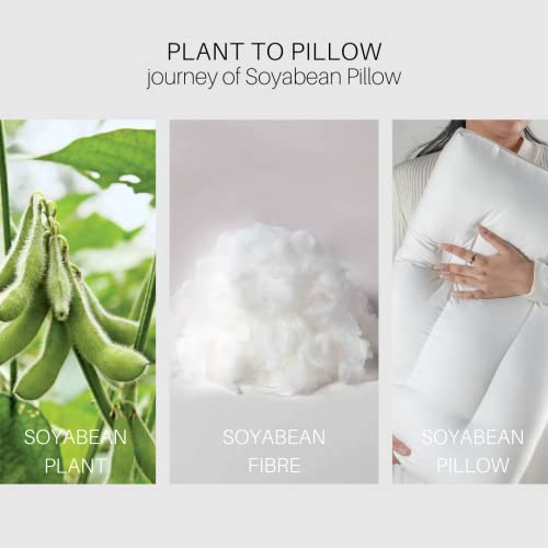 Spread Spain Soyabean Standard Size Pillow with Filling Soyabean Fiber, Orthopedic Bed Pillows, Back Side Sleeper Pillow for Neck and Shoulder Support, Soft, Set of 1, Machine Washable 18" x 27" - Image 2