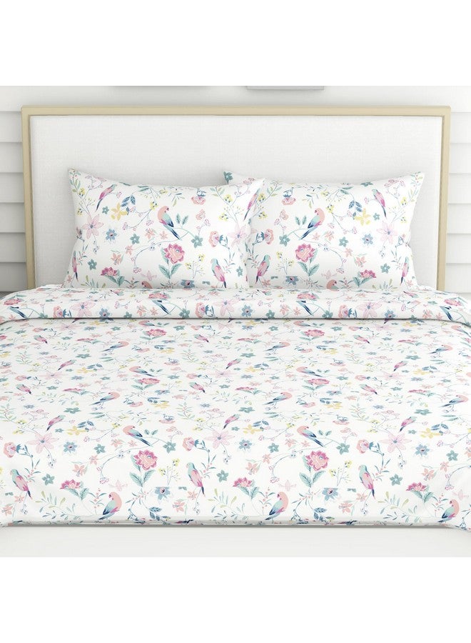 Haus & Kinder 100% Cotton Bedsheets for King Size Bed,186 TC Soft Cotton Bed Sheet for Double Bed, King Size Bed Sheet with 2 Pillow Covers-Exotic Wings Bedsheet - Image 4