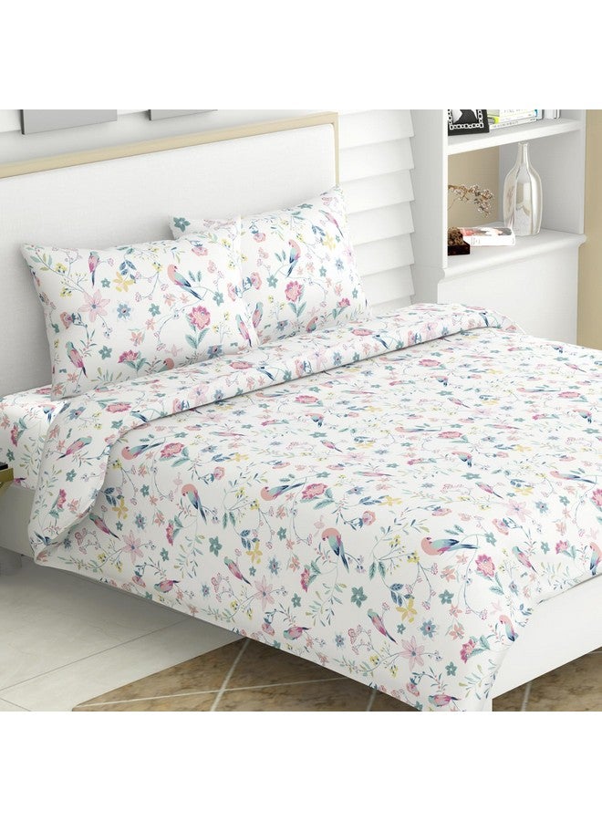 Haus & Kinder 100% Cotton Bedsheets for King Size Bed,186 TC Soft Cotton Bed Sheet for Double Bed, King Size Bed Sheet with 2 Pillow Covers-Exotic Wings Bedsheet - Image 1