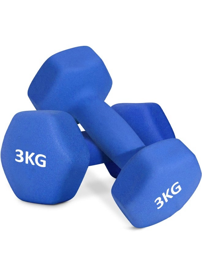 Fitness World Weightlifting dumbbell made of vinyl, 3 kg, consisting of two pieces 