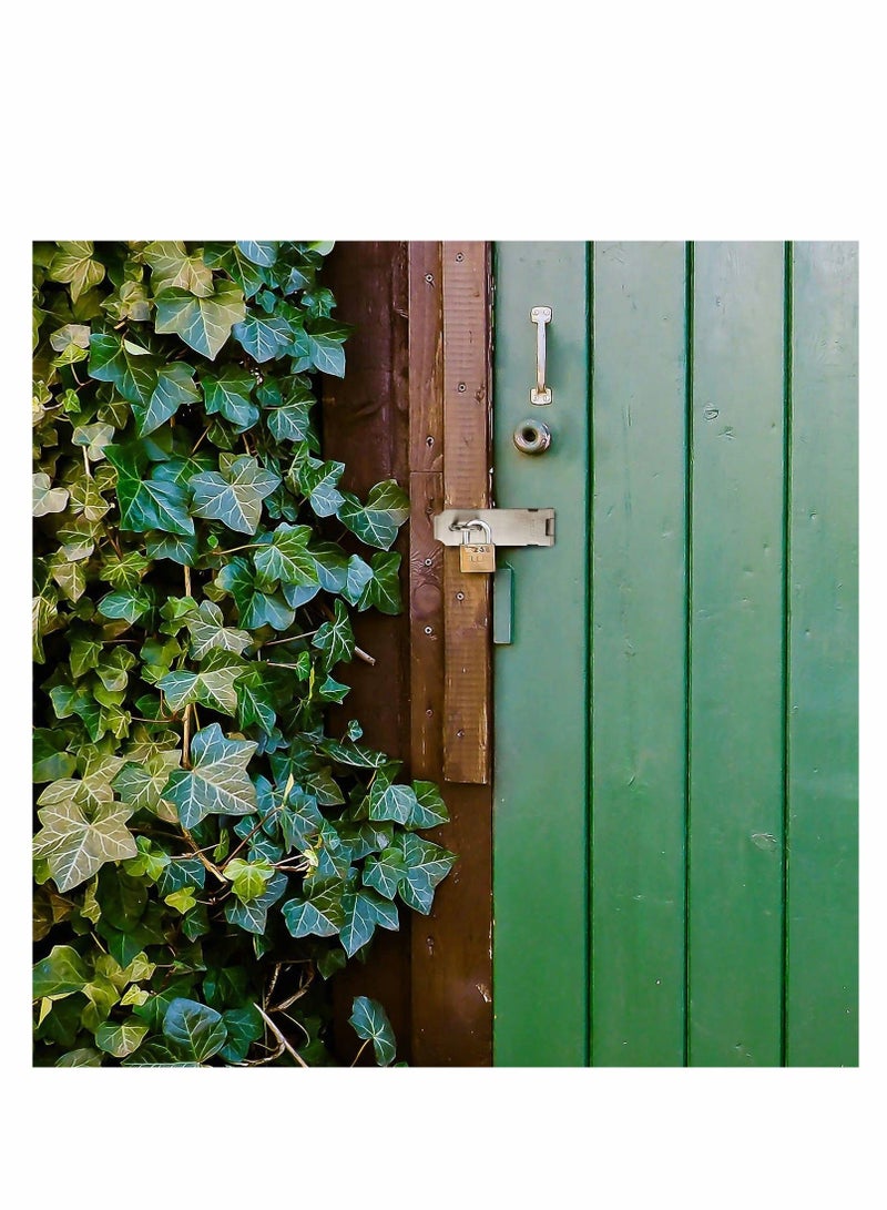 Padlock Hasp, Stainless Steel Security Door Clasp Hasp Lock Latch, Suitable for Room Door Locks, Garden Door Locks 2mm Extra Thick Door Gate Bolt... - Image 5