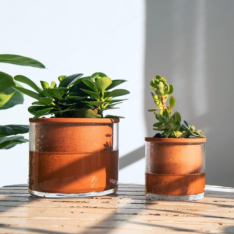 Phoenix Vine 4 Inch 6 Inch Self Watering Plants Pots, Design Terracotta Pots for Plants, Indoor Cylinder Terra Cotta Planter with Glass Vase Set, 51-A-G-46 - Image 2