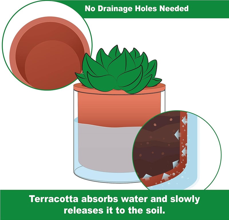 Phoenix Vine 4 Inch 6 Inch Self Watering Plants Pots, Design Terracotta Pots for Plants, Indoor Cylinder Terra Cotta Planter with Glass Vase Set, 51-A-G-46 - Image 4
