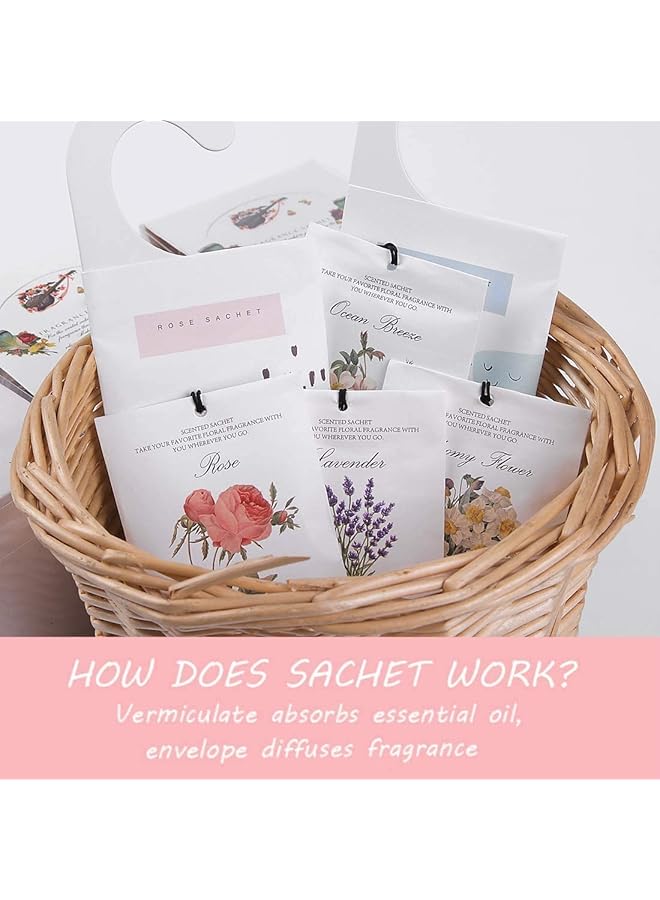 إيروريكس أكياس معطرة برائحة اللافندر والياسمين وزهرة الزنبق والورد وزهرة الجاردينيا في علبة واحدة تحتوي على 12 قطعة من 6 أكياس معطرة برائحة 6 روائح للخزانة ومعطرات للأدراج برائحة تدوم طويلاً للمنزل والسيارة ومنتجات العطور - Image 1