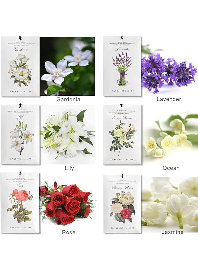 إيروريكس أكياس معطرة برائحة اللافندر والياسمين وزهرة الزنبق والورد وزهرة الجاردينيا في علبة واحدة تحتوي على 12 قطعة من 6 أكياس معطرة برائحة 6 روائح للخزانة ومعطرات للأدراج برائحة تدوم طويلاً للمنزل والسيارة ومنتجات العطور - Image 4