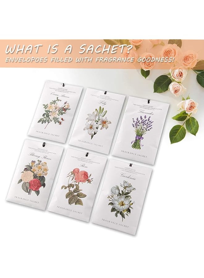 إيروريكس أكياس معطرة برائحة اللافندر والياسمين وزهرة الزنبق والورد وزهرة الجاردينيا في علبة واحدة تحتوي على 12 قطعة من 6 أكياس معطرة برائحة 6 روائح للخزانة ومعطرات للأدراج برائحة تدوم طويلاً للمنزل والسيارة ومنتجات العطور - Image 3