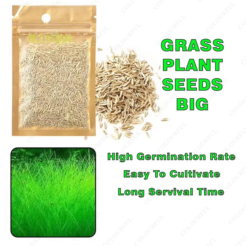 colourful Planted Aquarium Black Substrate Aqua Soil for Fish Tank | Live Planted Aquarium | Plant Seeds (950g Aquarium Soil, Big Grass Seed) - Image 2