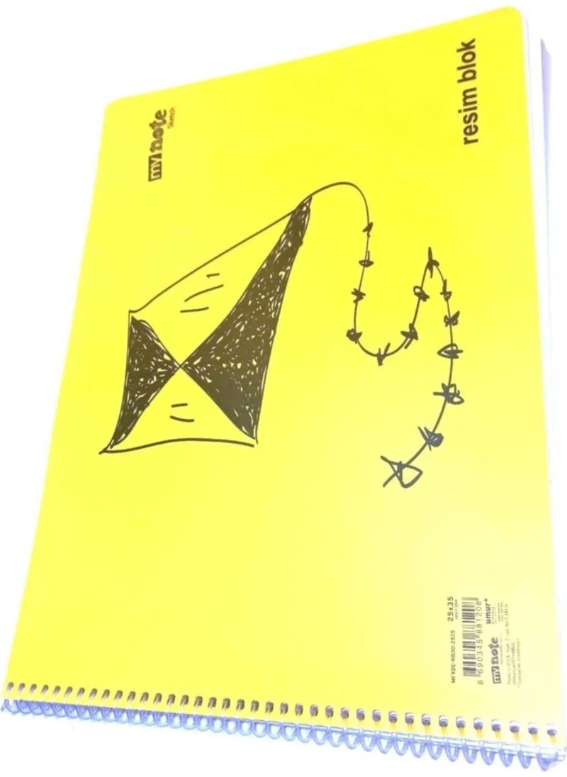 Mynote 10 Pieces Large Size 35X50 cm Drawing Book 30 Sheets Plastic Cover Spiral Mixed Color  - Image 4