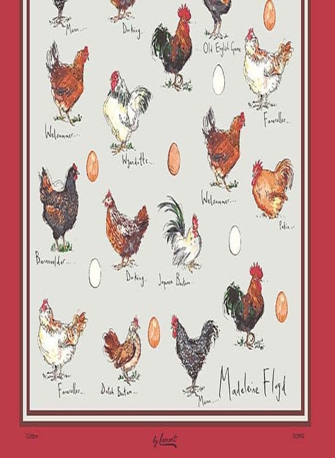 Samuel Lamont Chicken Egg Cotton Tea Towel Hand Painted Farm Design Grey Background Red Bord Kitchen Gift - Image 3