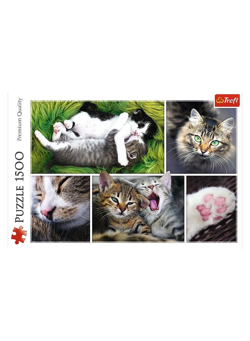 Trefl – Montage Cats Puzzle 1500 Pieces – 26145 - Image 2
