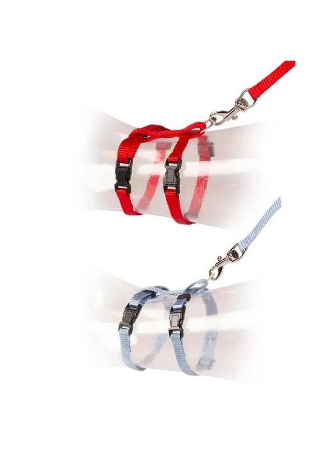 Duvo + Duvo Kitten Walking Set Uni Mixed Colors 15 - 25cm / 8mm - 125cmDimension: 15-25cm x 125cm x 8mm - Image 1