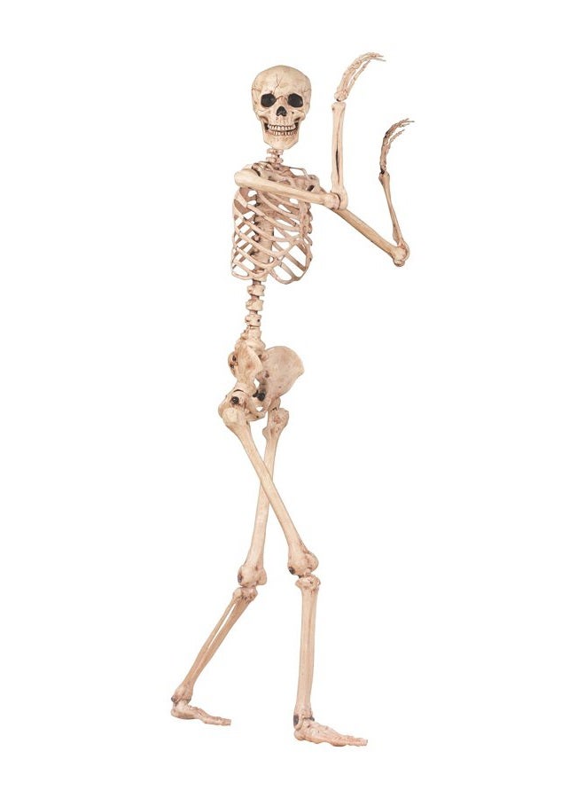 Crazy Bonez هيكل عظمي بالحجم الطبيعي 5 قدم مع مفاصل قابلة للتشكيل والتحريك لتزيين الهالوين في الداخل والخارج - Image 2