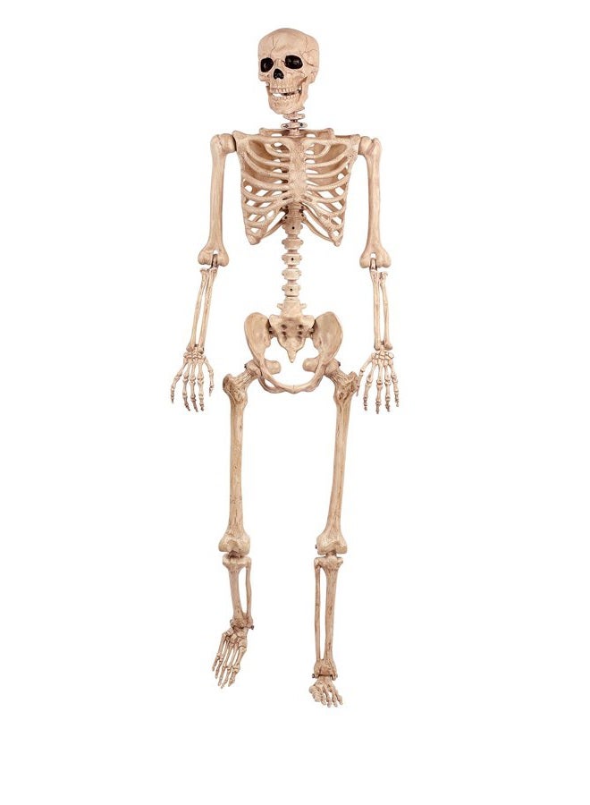 Crazy Bonez هيكل عظمي بالحجم الطبيعي 5 قدم مع مفاصل قابلة للتشكيل والتحريك لتزيين الهالوين في الداخل والخارج - Image 1