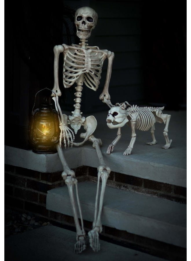 Crazy Bonez هيكل عظمي بالحجم الطبيعي 5 قدم مع مفاصل قابلة للتشكيل والتحريك لتزيين الهالوين في الداخل والخارج - Image 5