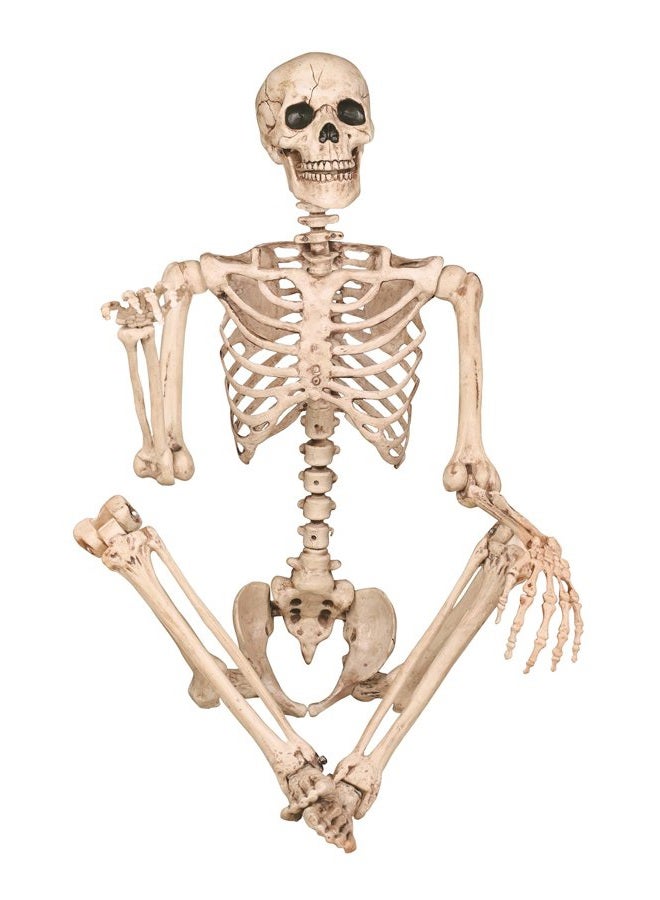 Crazy Bonez هيكل عظمي بالحجم الطبيعي 5 قدم مع مفاصل قابلة للتشكيل والتحريك لتزيين الهالوين في الداخل والخارج - Image 3