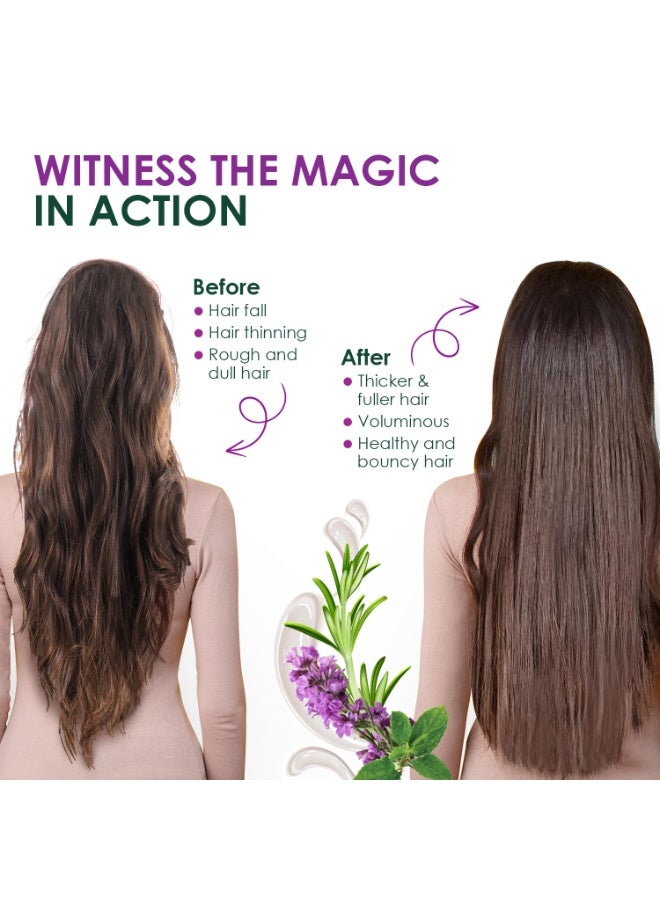 كيش كينج شامبو كيش كينج إكليل الجبل العضوي مع التولسي، شامبو مضاد لتساقط الشعر لنمو أقوى للشعر وإصلاح الضرر، خالي من الكبريتات والأيورفيدا، 300 مل - Image 4