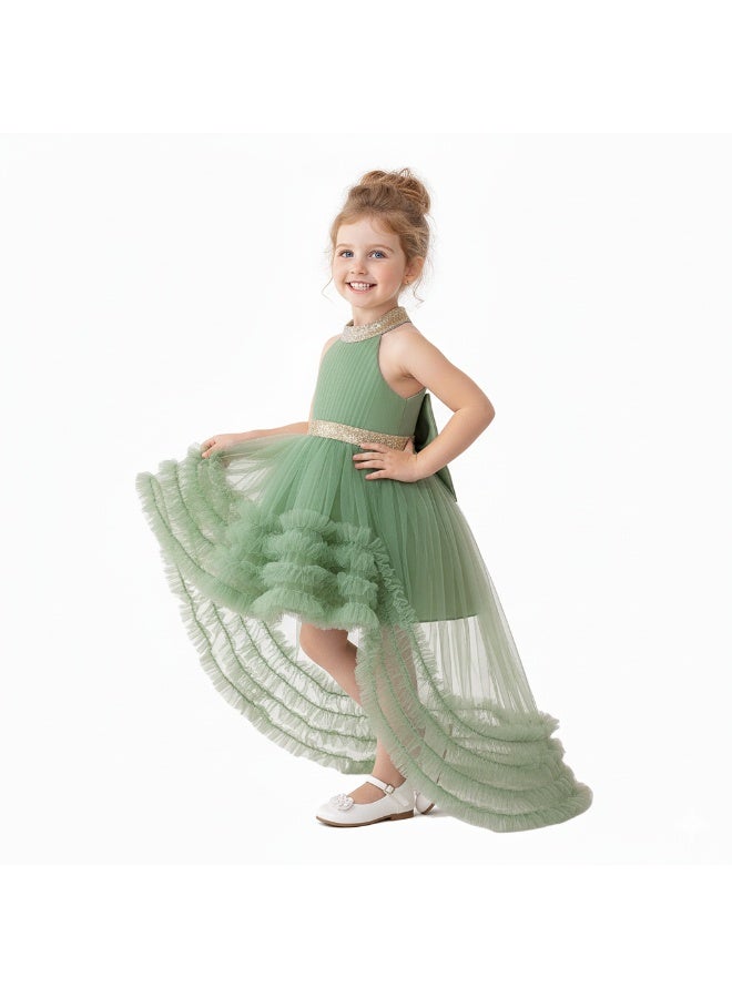 D'Daniela Ruffled Tulle Dress - Image 3