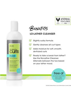 ALL ABOUT CURLS All About Curls Lo-Lather Cleanser Shampoo | Essential Moisture | Gentle Cleansing | Slightly Sudsy | All Curly Hair Types  - Image 2