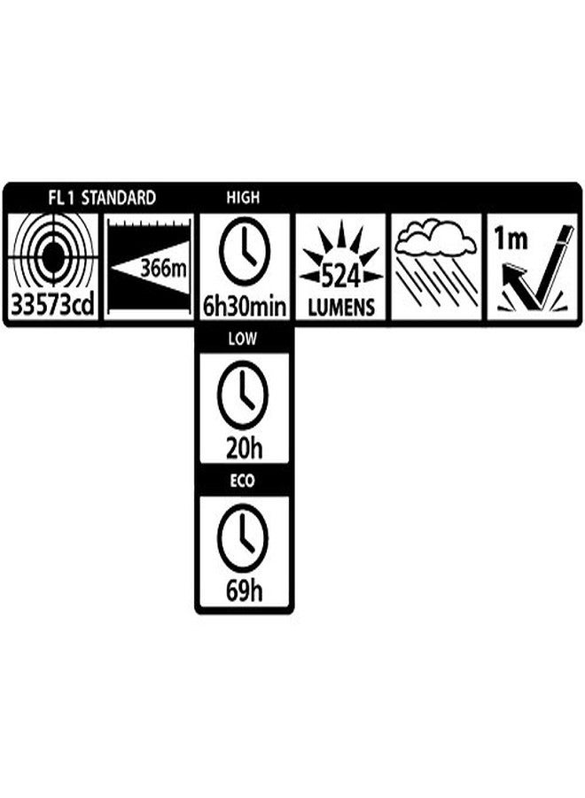 MagLite ML300L LED 2-Cell D Display Box, Black - Image 2