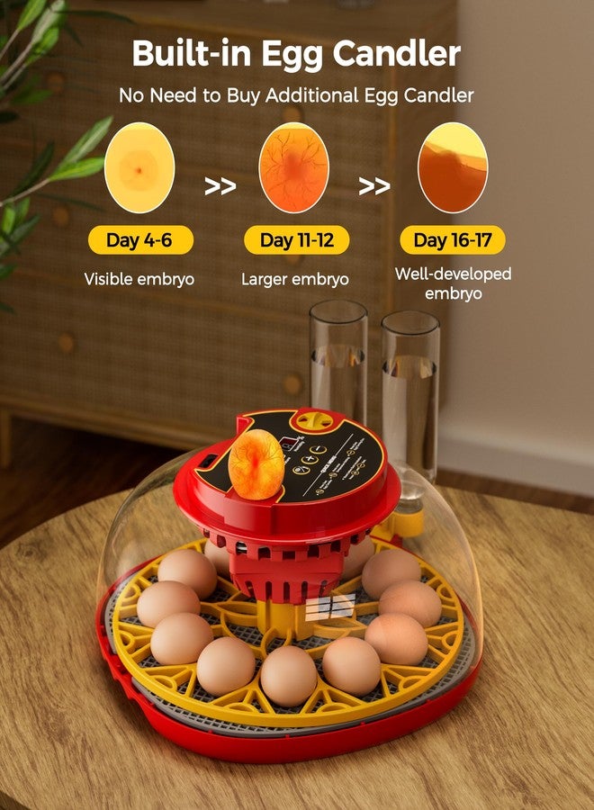 Besly 12 Egg Incubator for Hatching Eggs,Automatic Turning,Temperature and Humidity Control Display,360° Viewing for Chicken, Duck, Quail Eggs, Ideal for Farm, Classroom, Home Use,2025 Upgraded Incubators - Image 3