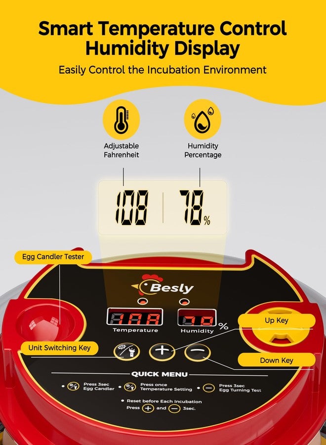 Besly 12 Egg Incubator for Hatching Eggs,Automatic Turning,Temperature and Humidity Control Display,360° Viewing for Chicken, Duck, Quail Eggs, Ideal for Farm, Classroom, Home Use,2025 Upgraded Incubators - Image 2