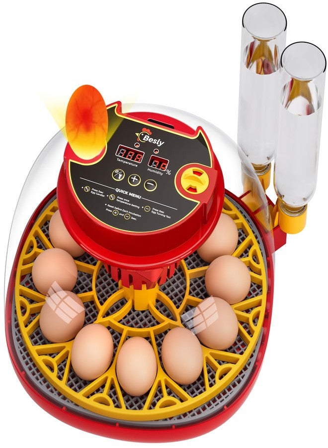Besly 12 Egg Incubator for Hatching Eggs,Automatic Turning,Temperature and Humidity Control Display,360° Viewing for Chicken, Duck, Quail Eggs, Ideal for Farm, Classroom, Home Use,2025 Upgraded Incubators - Image 1