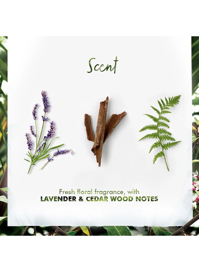 Klorane Quinine and Organic Edelweiss Conditioner 200ml - Image 5