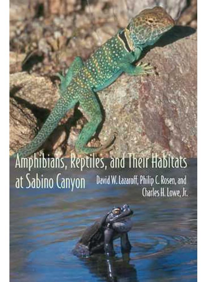 Amphibians, Reptiles, and Their Habitats at Sabino Canyon 