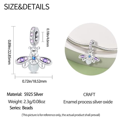 HappyStar 925 Sterling Silver Charms for Bracelets and Necklaces,Combination Dangle Pendants Beads Charms Jewelry Gift for Couples Sisters.（With Spacer Beads） - Image 5