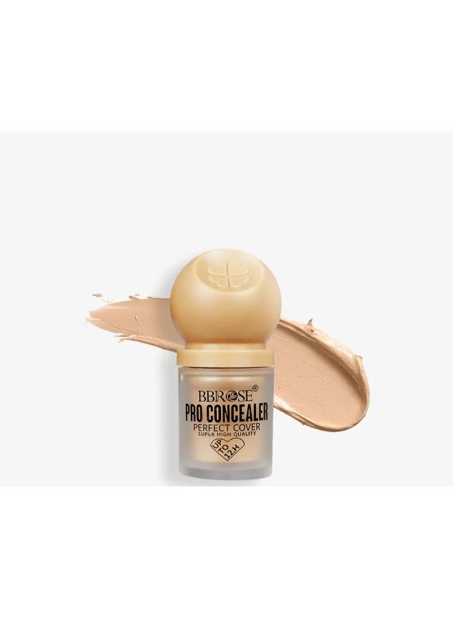 BBROSE Concealer Perfect Cover. NO.3 - Image 1