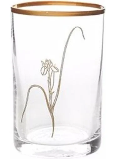 Porland Botanical Mini 3-Piece Glass Set 100CC