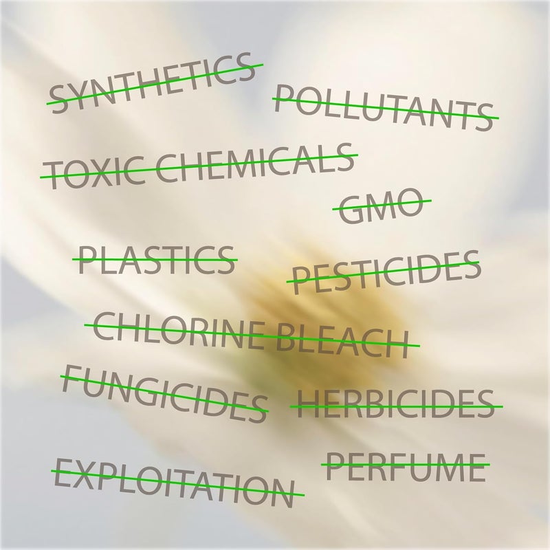 Oi | Organic Initiative - 100% Certified Organic Cotton Non-Applicator Tampons | Ultra-Absorbent, Unscented, Natural, Non-Toxic, Applicator Free | Super Plus | 56 Tampons - Image 3