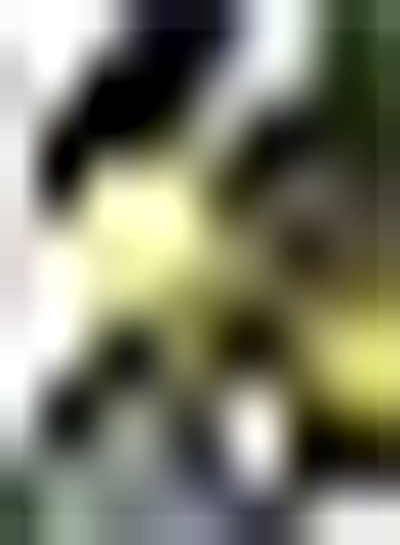 GGOOT 50pcs Persimmon Seeds The Produced Fruits Autumn Harvest Persimmon Wood Planted in Outdoor Garden Receive Nutritious Healthy Fruits - Image 2