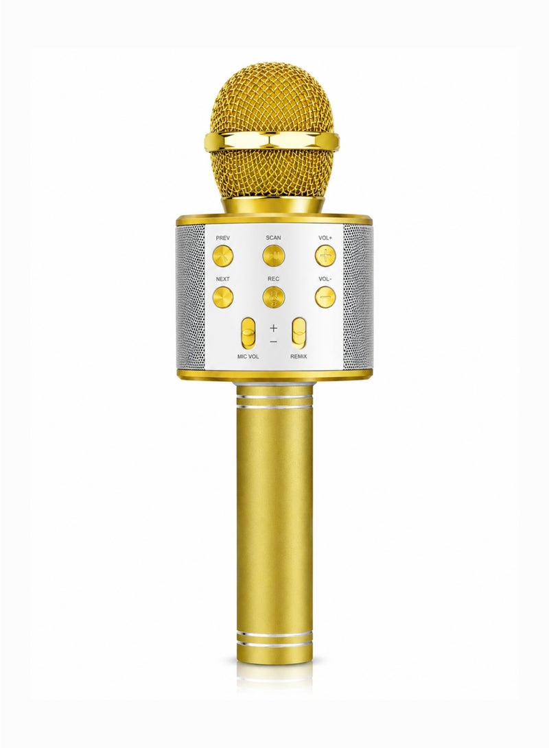 Wireless Bluetooth Karaoke Microphone Speaker With TF Card, Aux USB & Recording Function, Gold - Image 1
