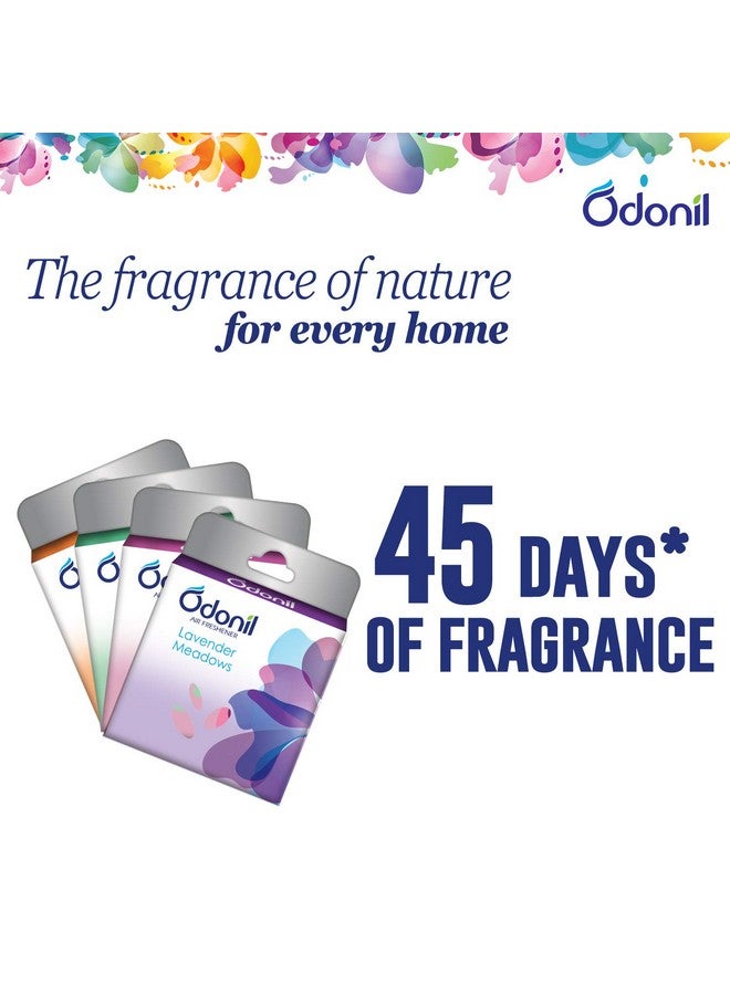 Odonil Air Freshener Blocks - 50 Gm (Pack Of 2) - Image 2