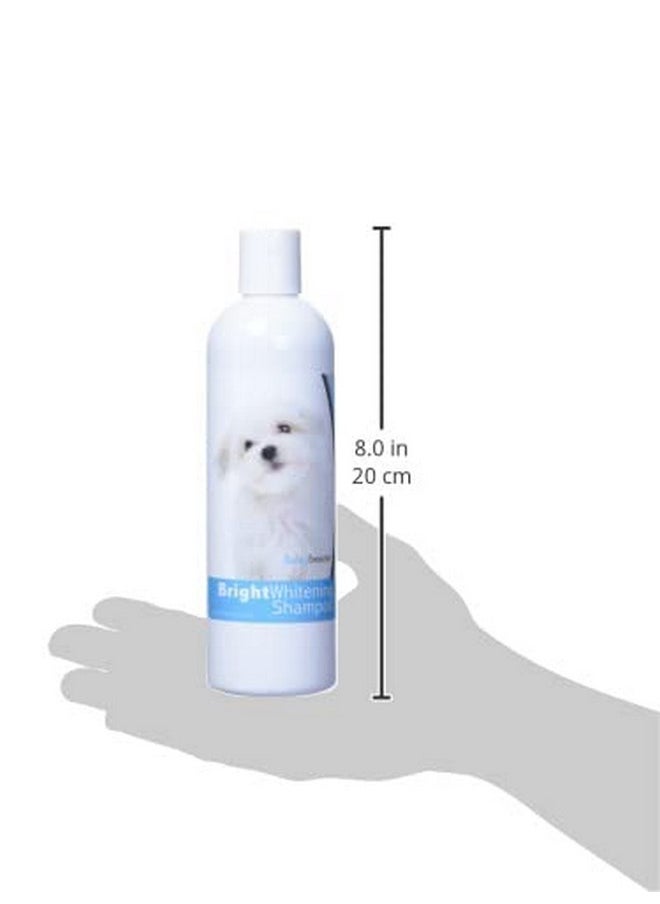 هيلثي بريدز - شامبو تبييض الشعر Maltese Bright من Healthy Breeds، 12 أونصة، نكهة بينا كولادا - Image 1