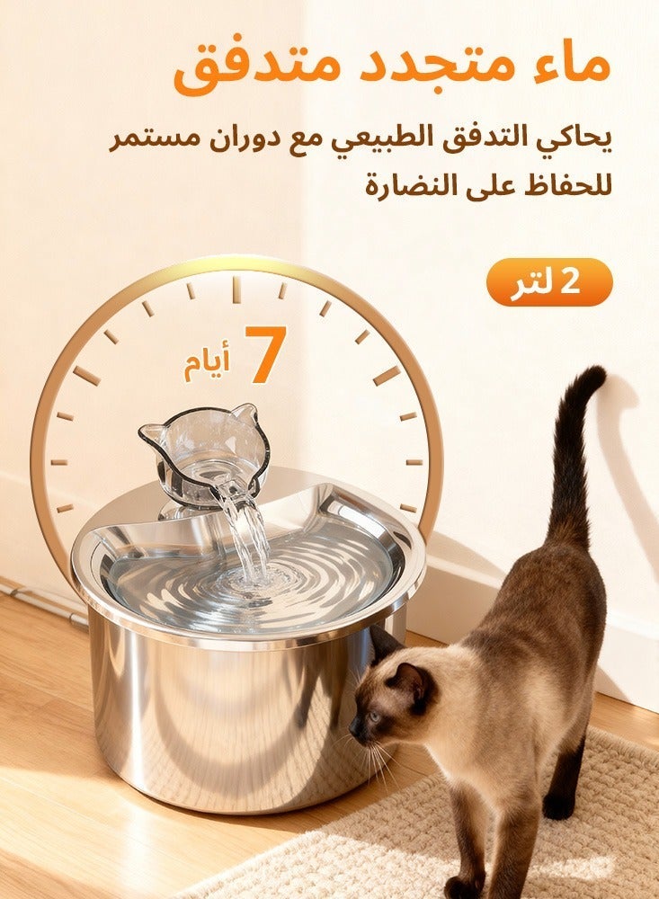 لابيت نافورة مياه للحيوانات الأليفة من الفولاذ المقاوم للصدأ 304 سعة 2 لتر - مضخة فائقة الهدوء، ومياه متدفقة مستمرة، وفوهتين قابلتين للتبديل، وتتضمن 2 مرشحات كربون منشط، ووعاء شرب تلقائي للقطط والكلاب الصغيرة - Image 2