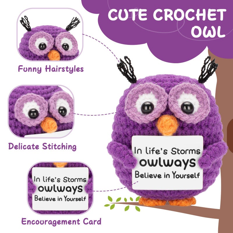 Dalycro Positive Crochet Animals Handmade Owl with Encouragement Card Crochet Owl Gifts for Women Room Office Car Decor - Image 3