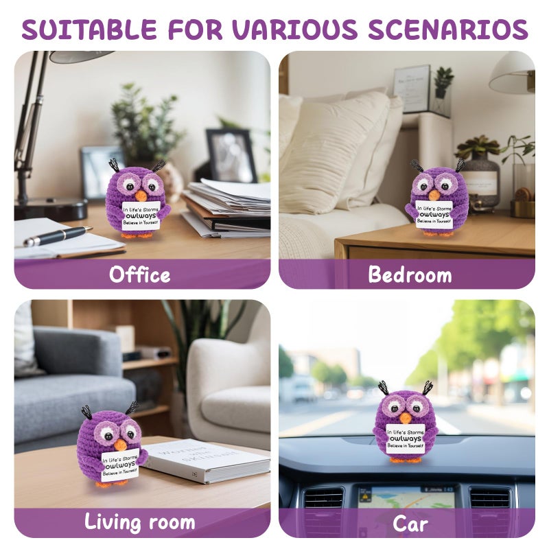 Dalycro Positive Crochet Animals Handmade Owl with Encouragement Card Crochet Owl Gifts for Women Room Office Car Decor - Image 5