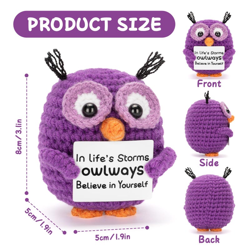 Dalycro Positive Crochet Animals Handmade Owl with Encouragement Card Crochet Owl Gifts for Women Room Office Car Decor - Image 2