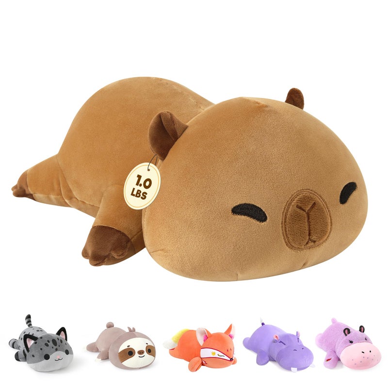Onsoyours Original Weighted Stuffed Animals, Cute Weighted Positive Capybara Plush Pillow Toy Soft Weighted Capybara Plushies Gift for Kids Adults (9.8", 1.0 Lbs) - Image 1