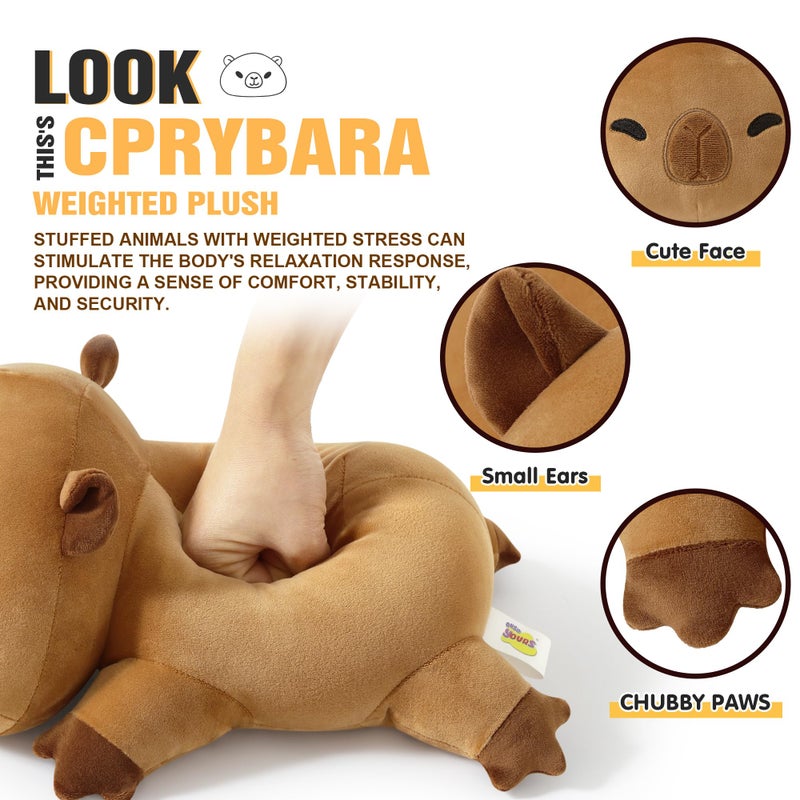 Onsoyours Original Weighted Stuffed Animals, Cute Weighted Positive Capybara Plush Pillow Toy Soft Weighted Capybara Plushies Gift for Kids Adults (9.8", 1.0 Lbs) - Image 4