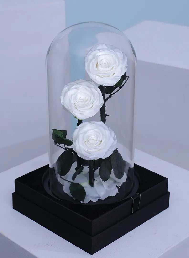 BYYU Forever White Roses