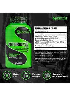 Species Nutrition Arthrolyze Joint Repair Supplement, Fortified with UC-II Collagen, MSM, Glucosamine, Chondroitin, High Potency Connective Tissue & Joint Support (300 Capsules) - pzsku/Z382E666B6C5704D0050AZ/45/_/1735908075/ba5bdff4-0893-406b-8318-a1272b273345