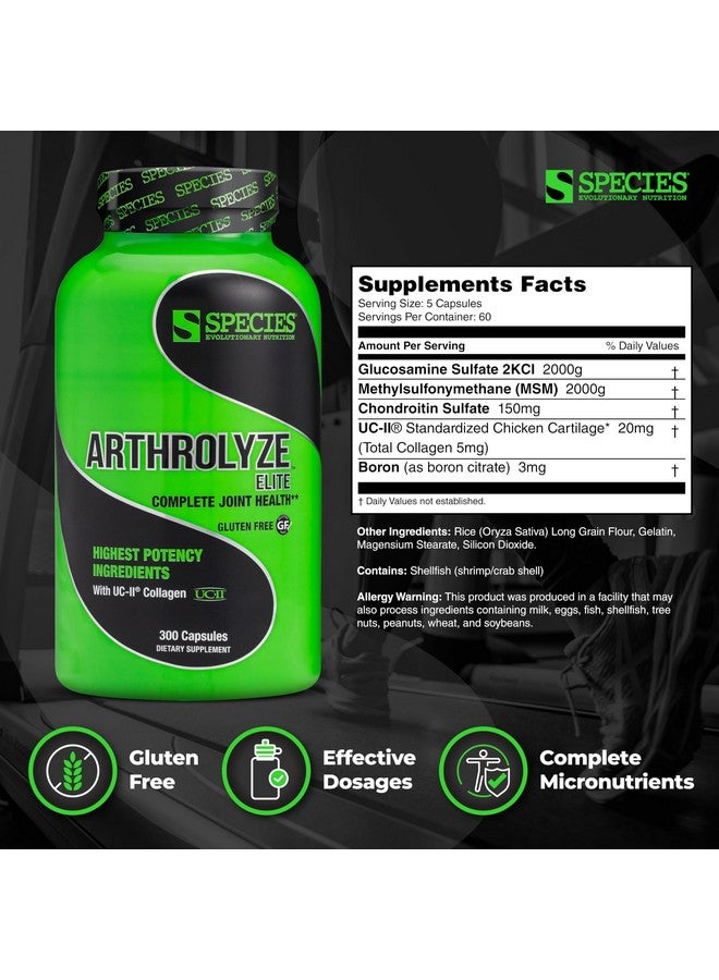 Species Nutrition Arthrolyze Joint Repair Supplement, Fortified with UC-II Collagen, MSM, Glucosamine, Chondroitin, High Potency Connective Tissue & Joint Support (300 Capsules)